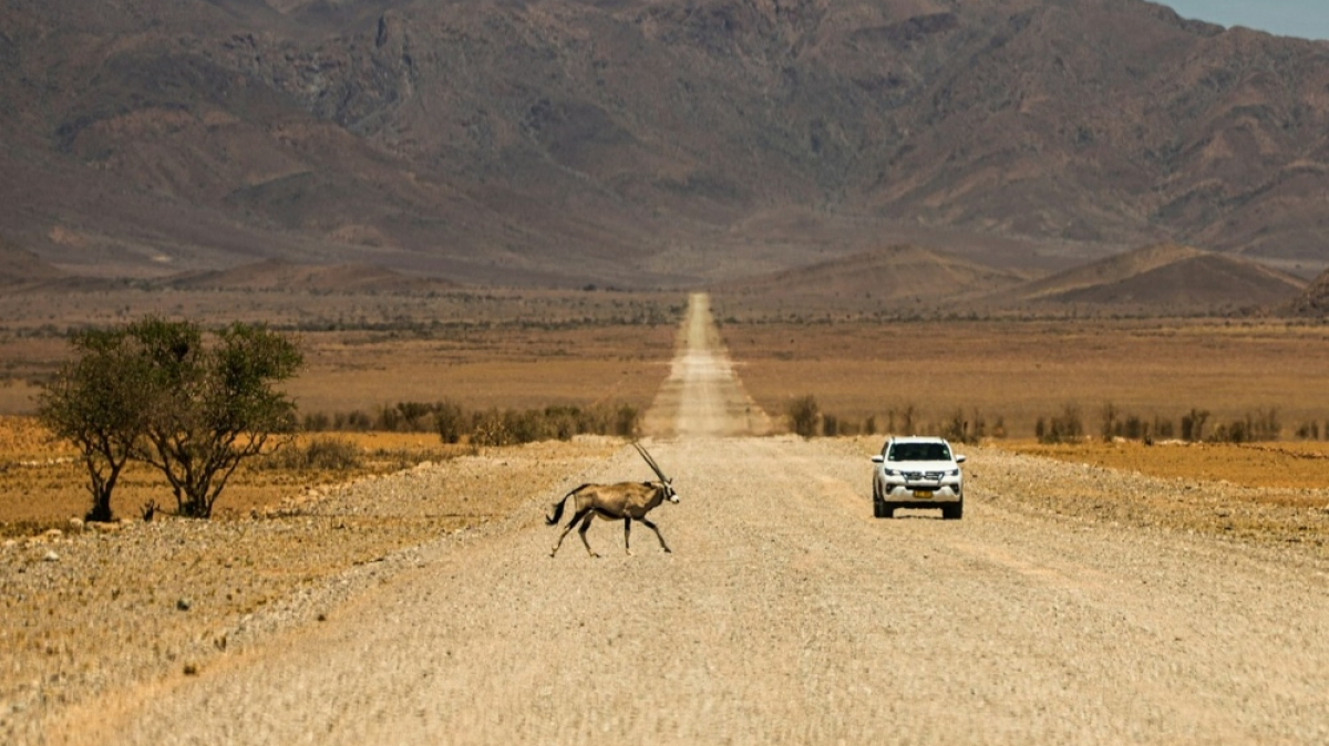 Фото Dirger Strahl для Unsplash.com