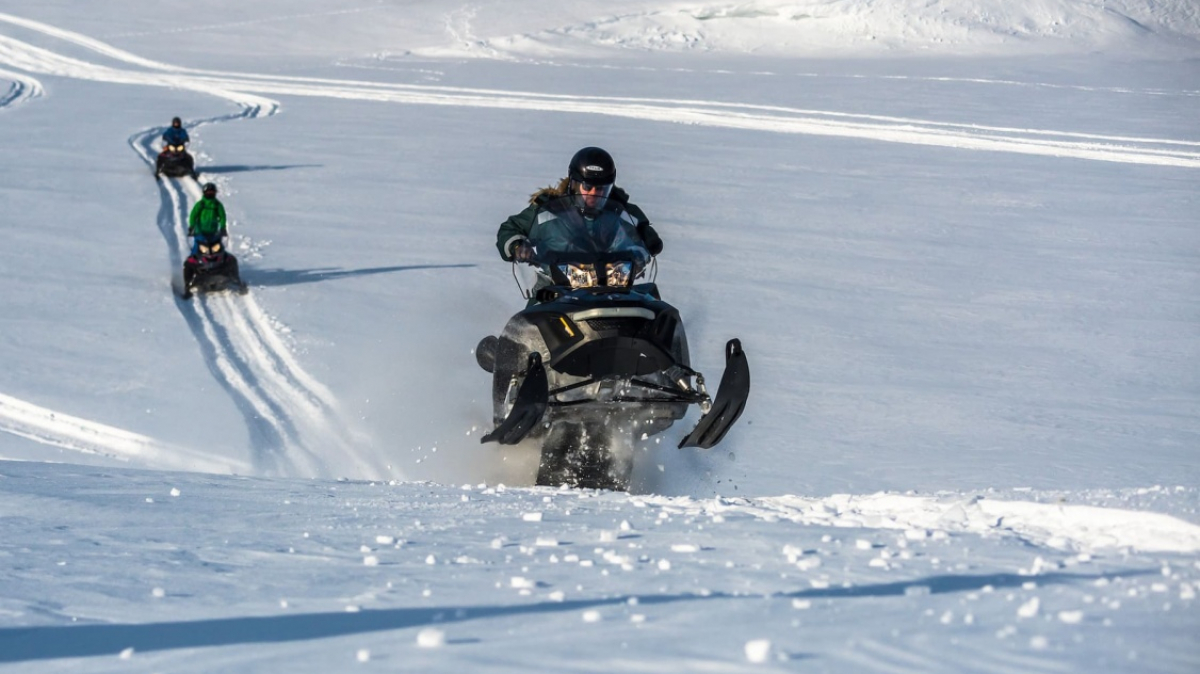 Фото: Сергей Доля