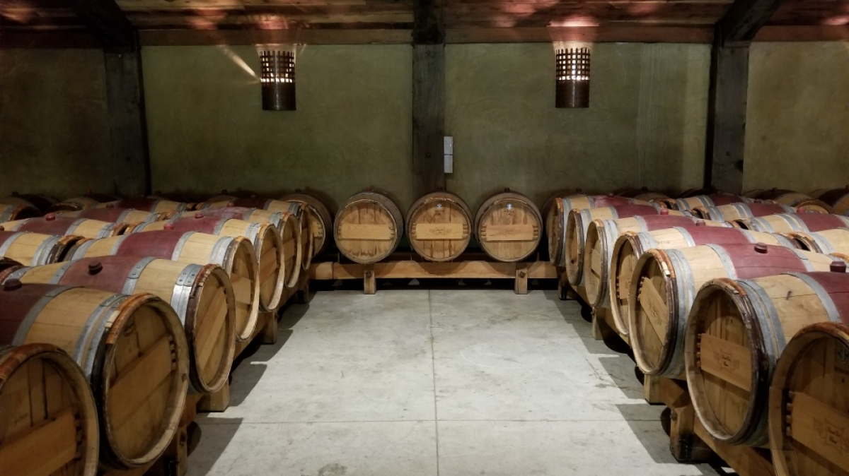 Фото: JustGoThere.NZ