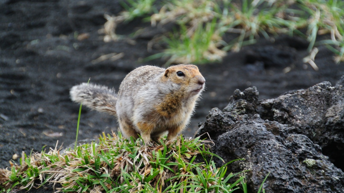 Фото нашего Странника Владимира Гущина