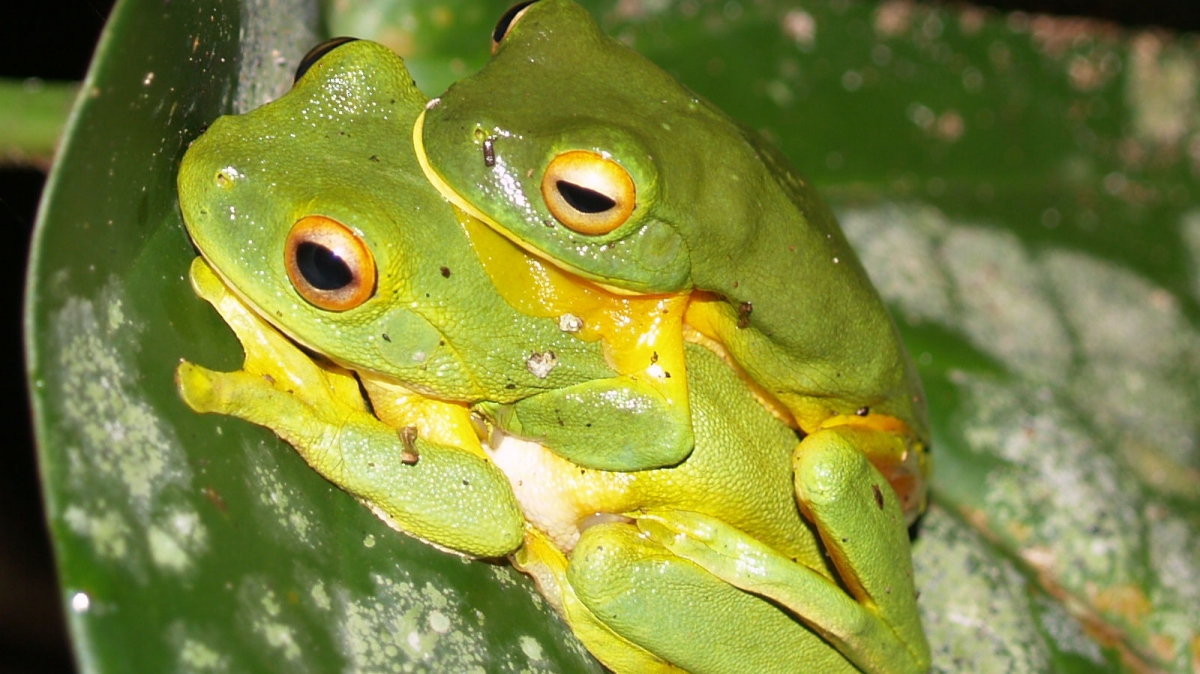 Фото: Madsvisions. Источник: visualhunt.com