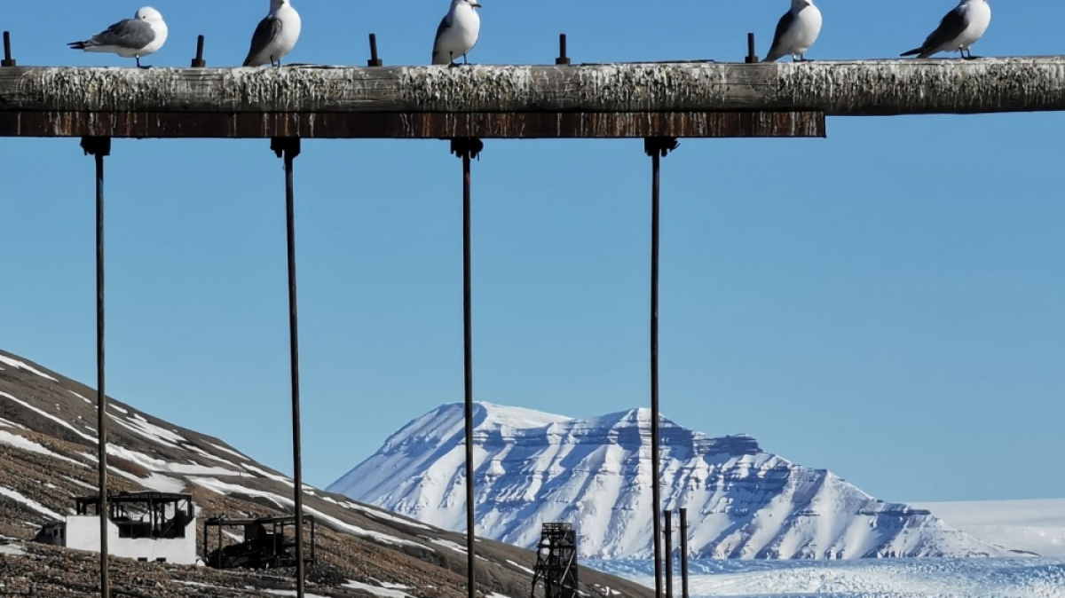 Фото: Сергей Доля