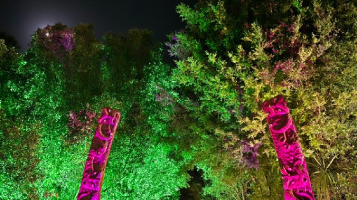 Фото наших партнеров JustGo ThereNZ