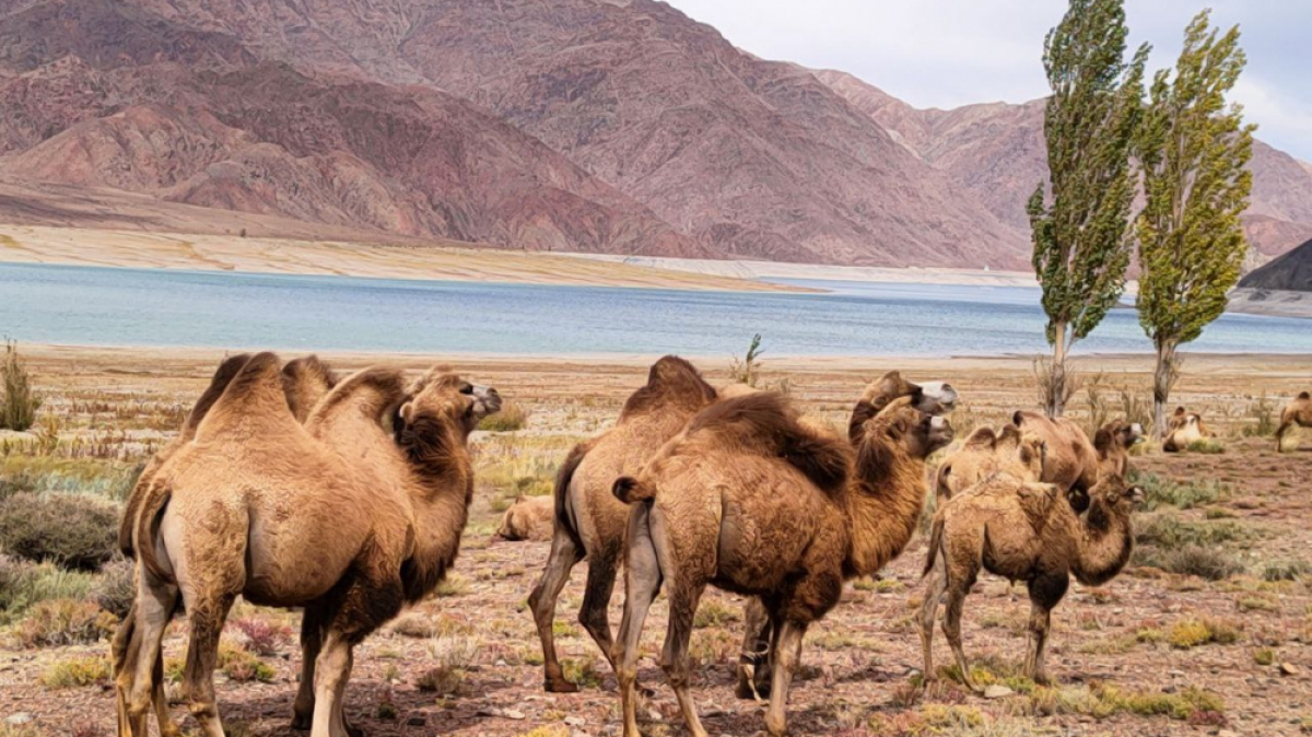 Фото наших Странников