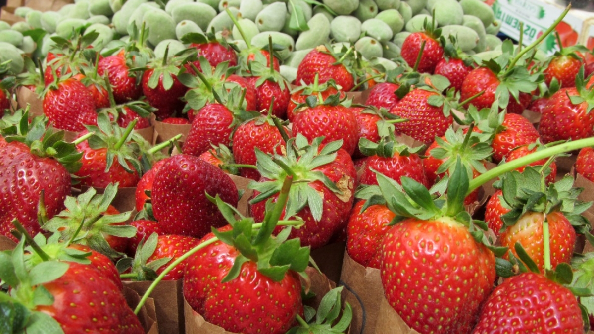 Фото нашего гида Ирины Пряничниковой