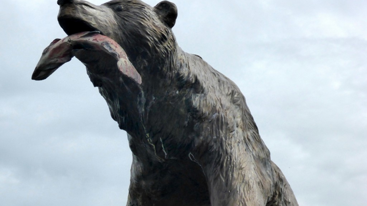 Петропавловск-Камчатский. Фото нашего Странника Александра Панченко