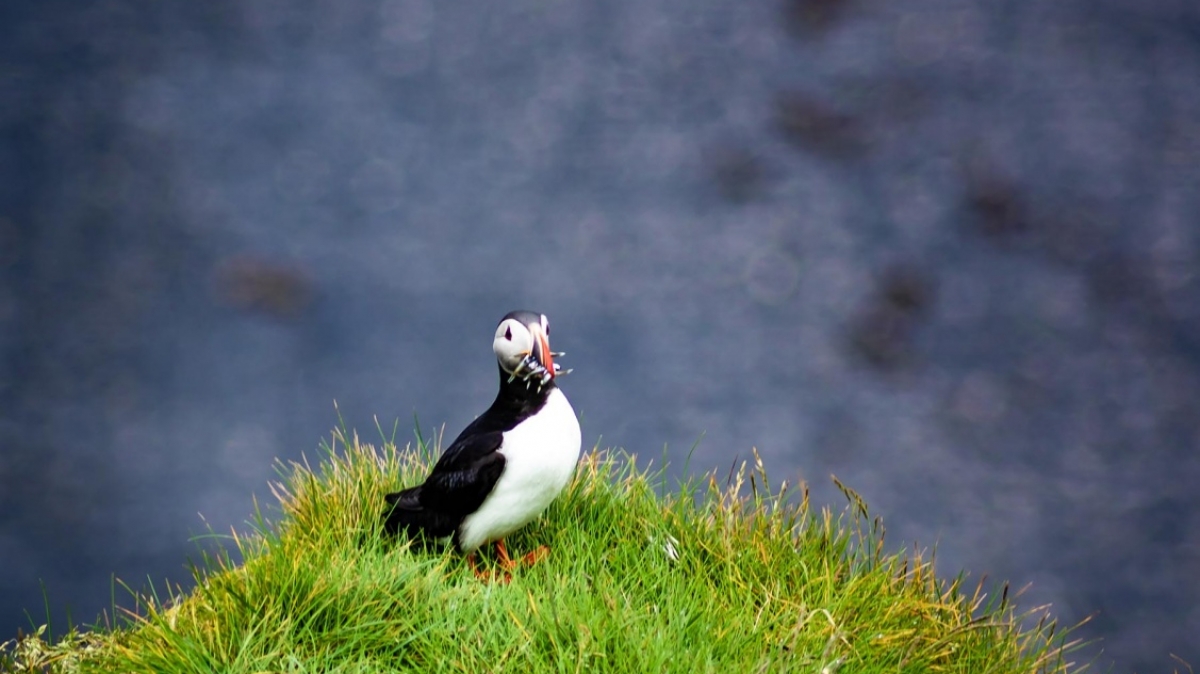 Фото нашего Странника Дмитрия Кочерыгина