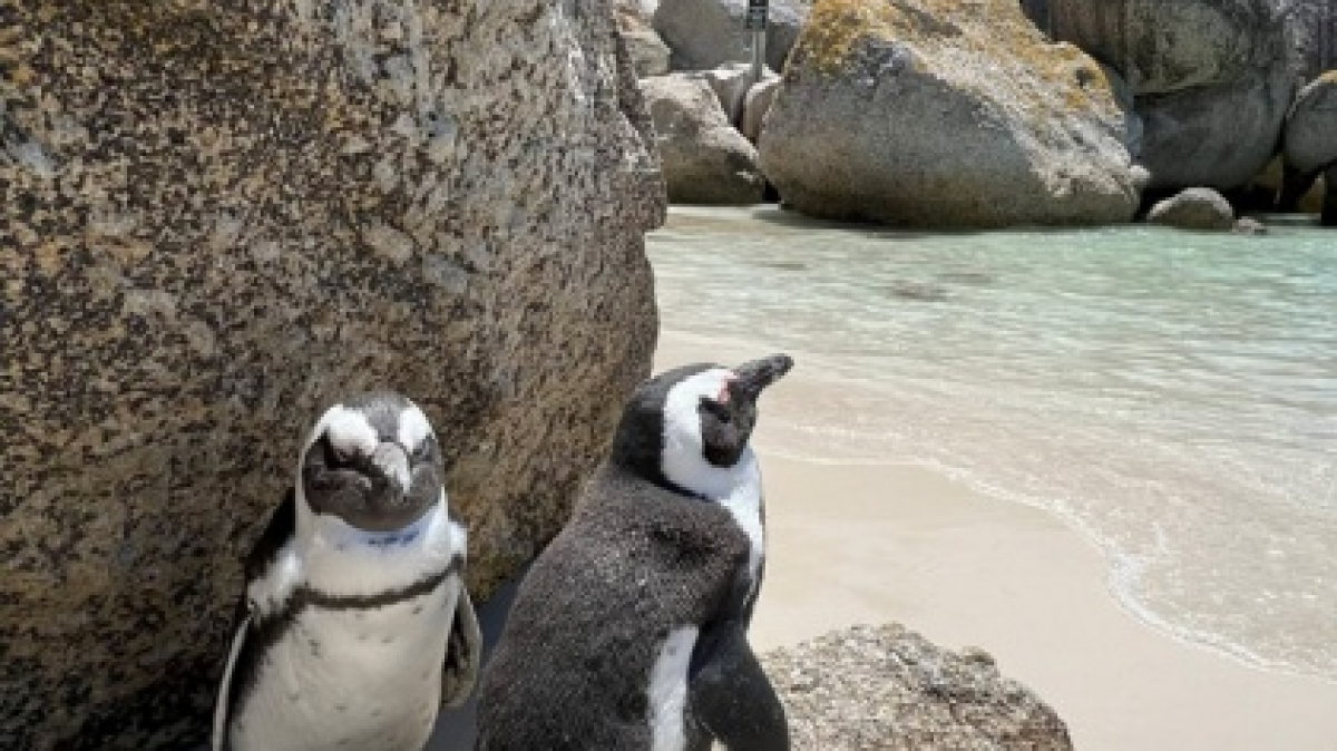 Фото: гид Алексей Шорец