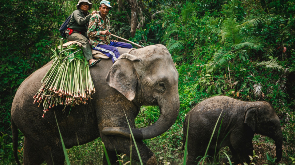 Фото: Kiran Awale on Unsplash