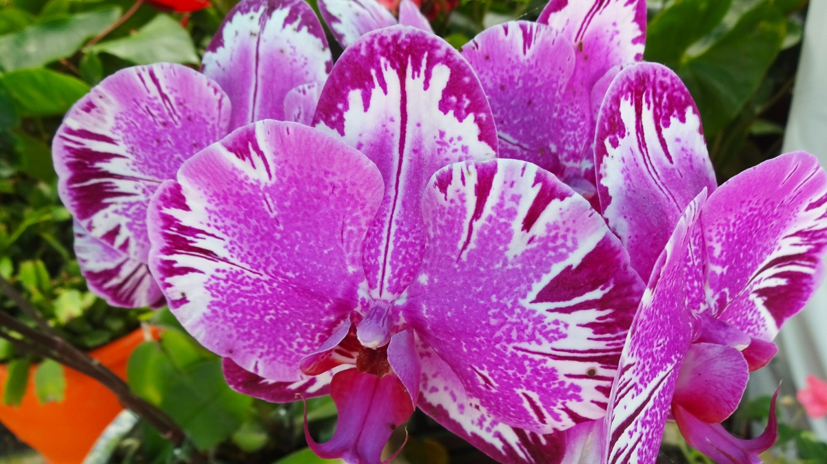 Фото нашего гида Лики Майстровой