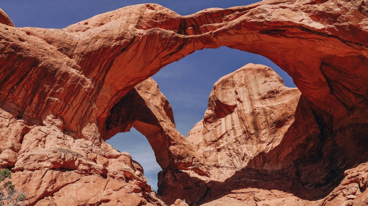 Фото: Moriah Wolfe, unsplash.com