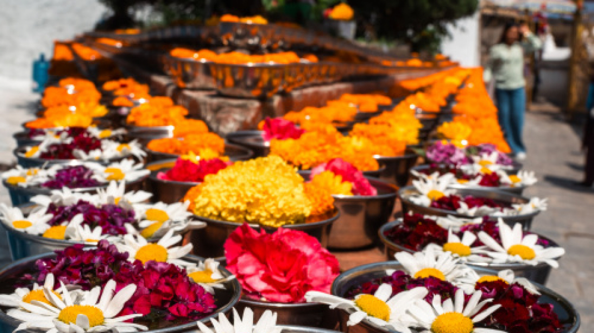 Фото нашего Странника Станислава Дышева