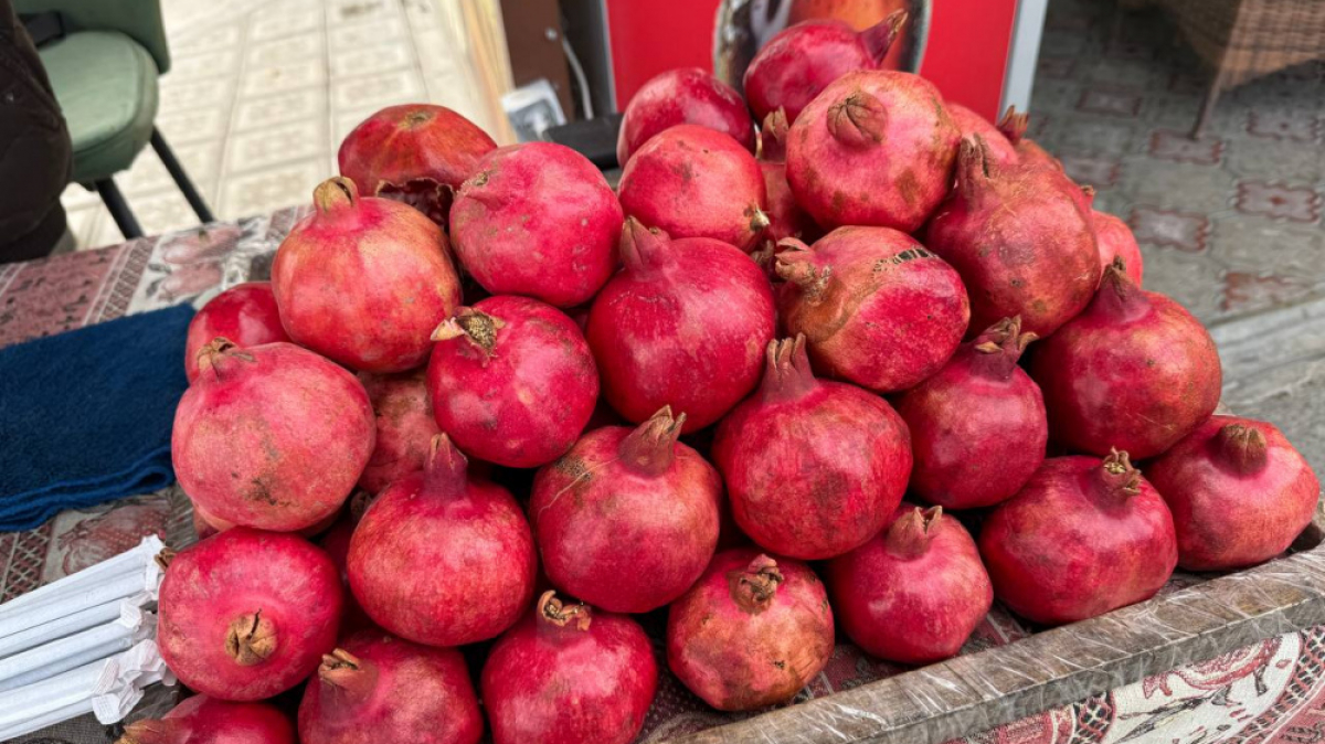 Фото нашей Странницы Ольги Добрянской