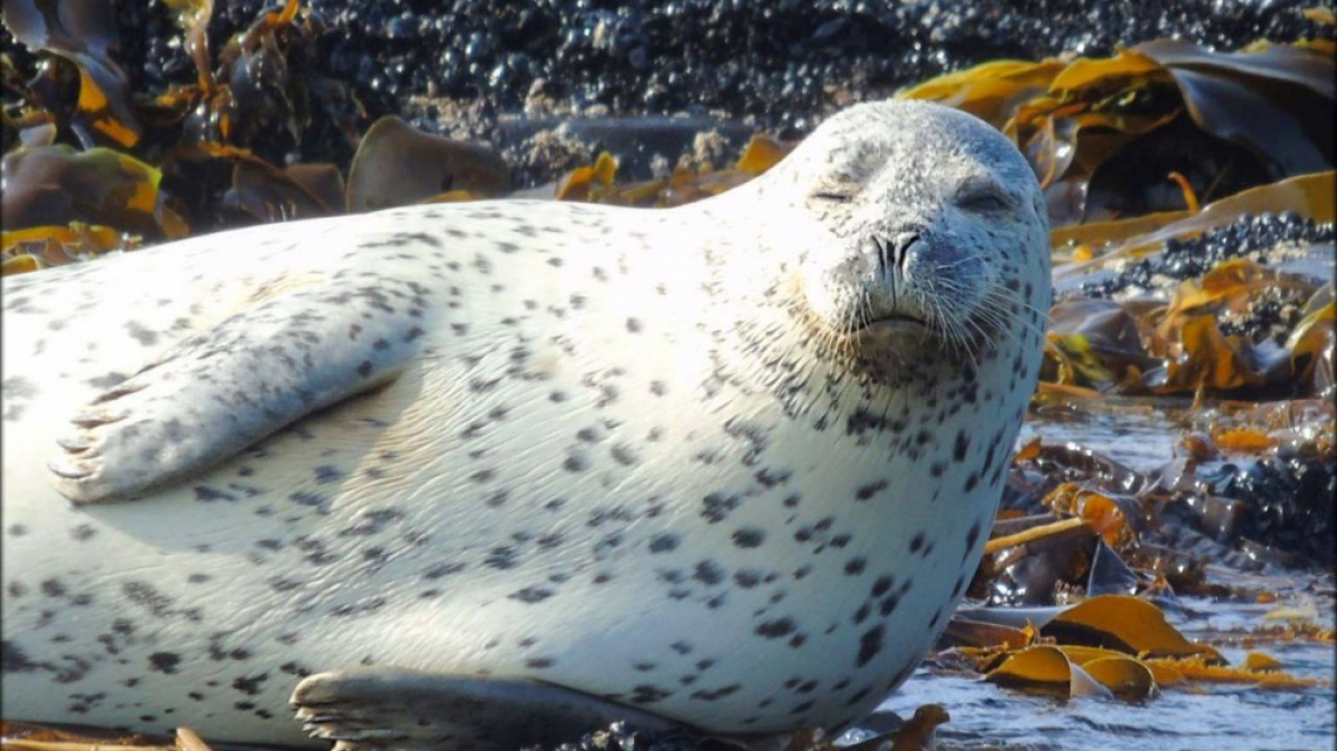 Фото наших Странников