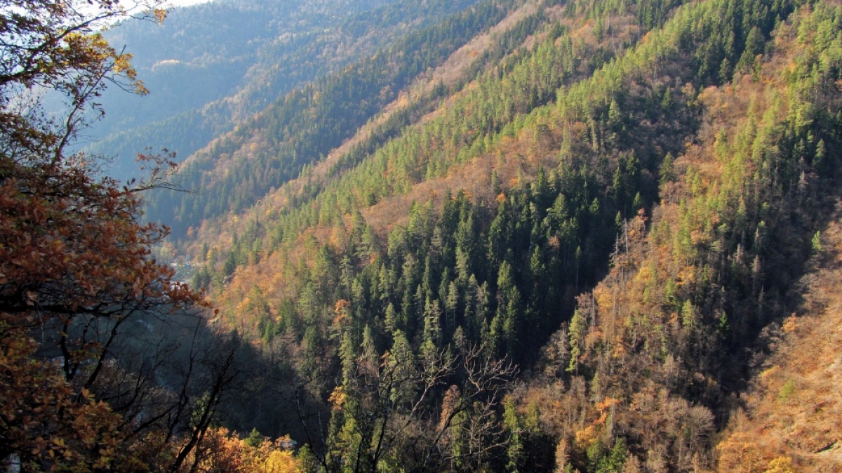 Фото нашего гида Ирины Пряничниковой