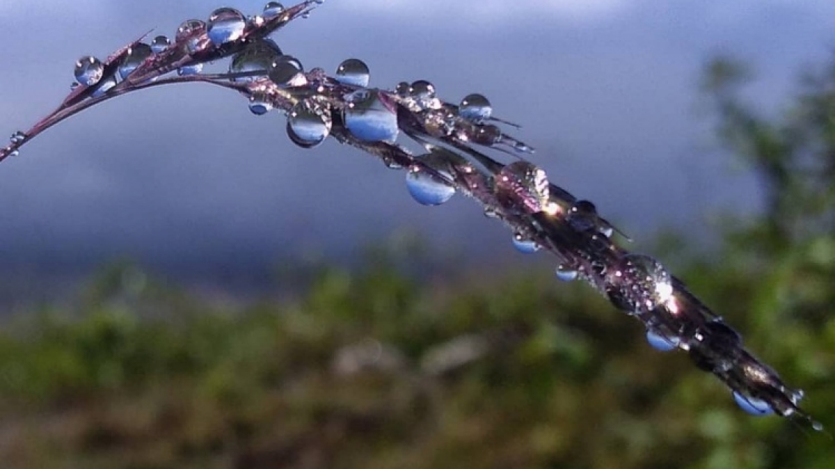 Фото нашего гида Андрея Добряка