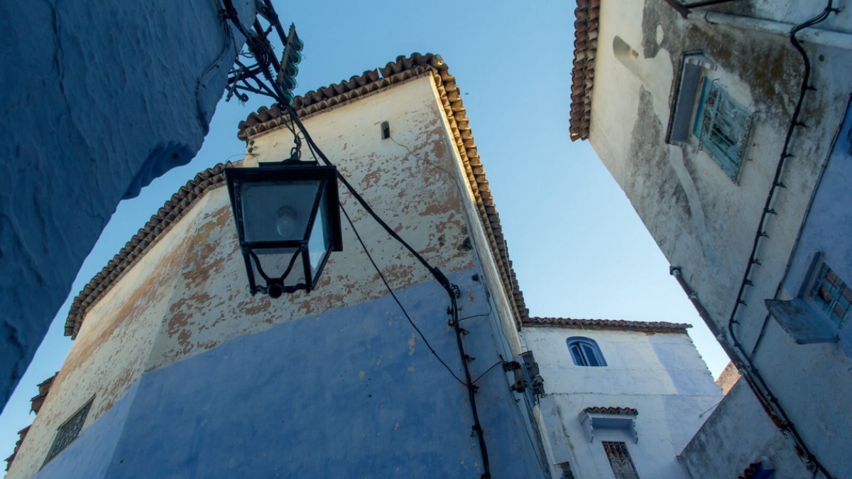 Фото: cat_collector, visualhunt.com