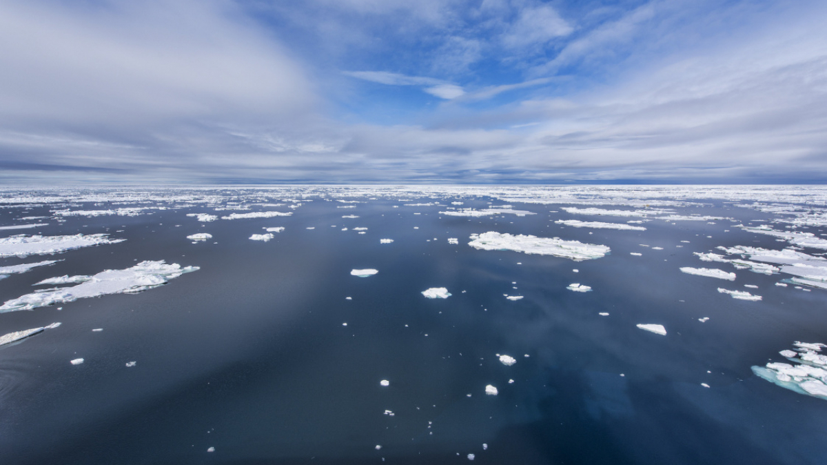 Фото: Christopher.Michel, visualhunt.com