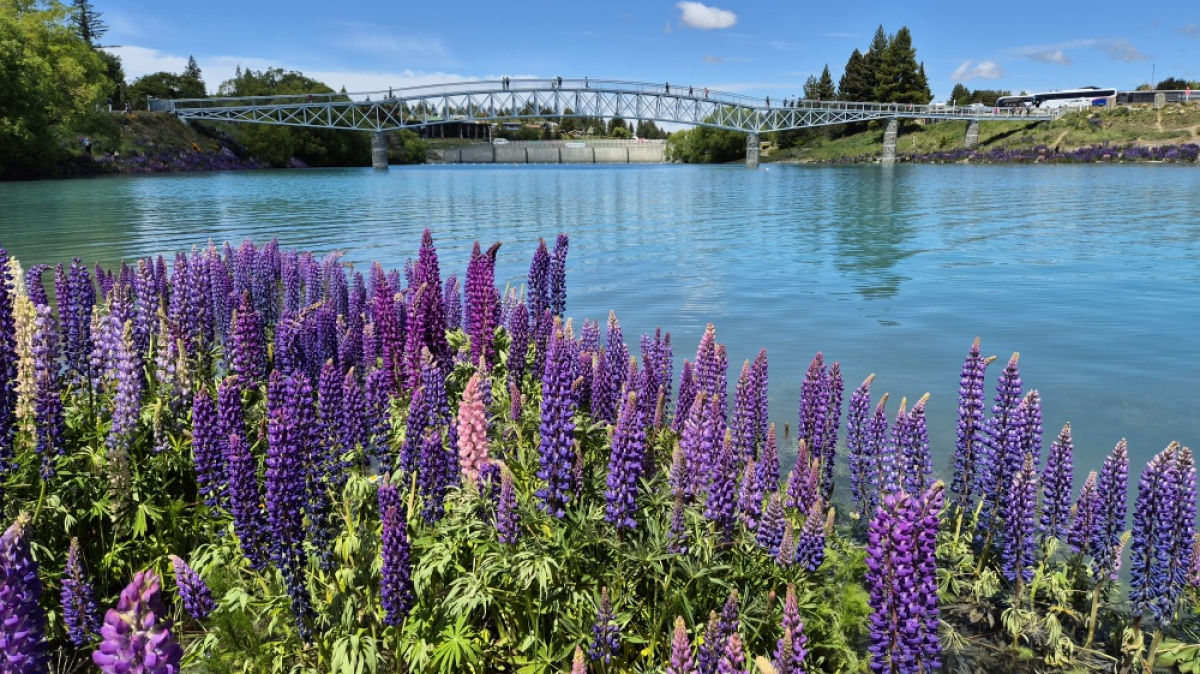 Фото: JustGoThere.NZ