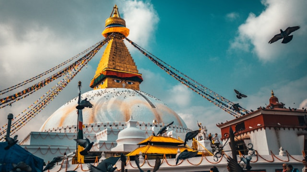 Фото: Raimond Klavins, unsplash.com