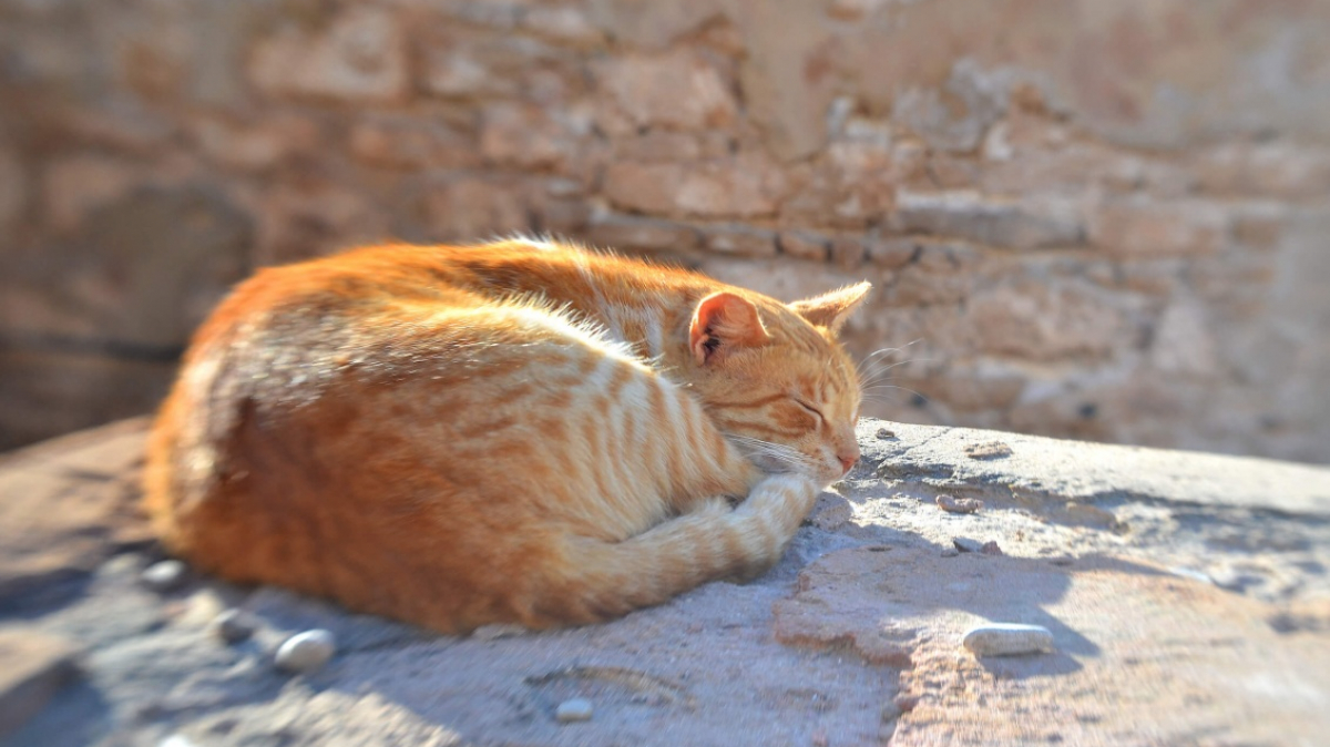 Фото нашей Странницы Оксаны Царьковой