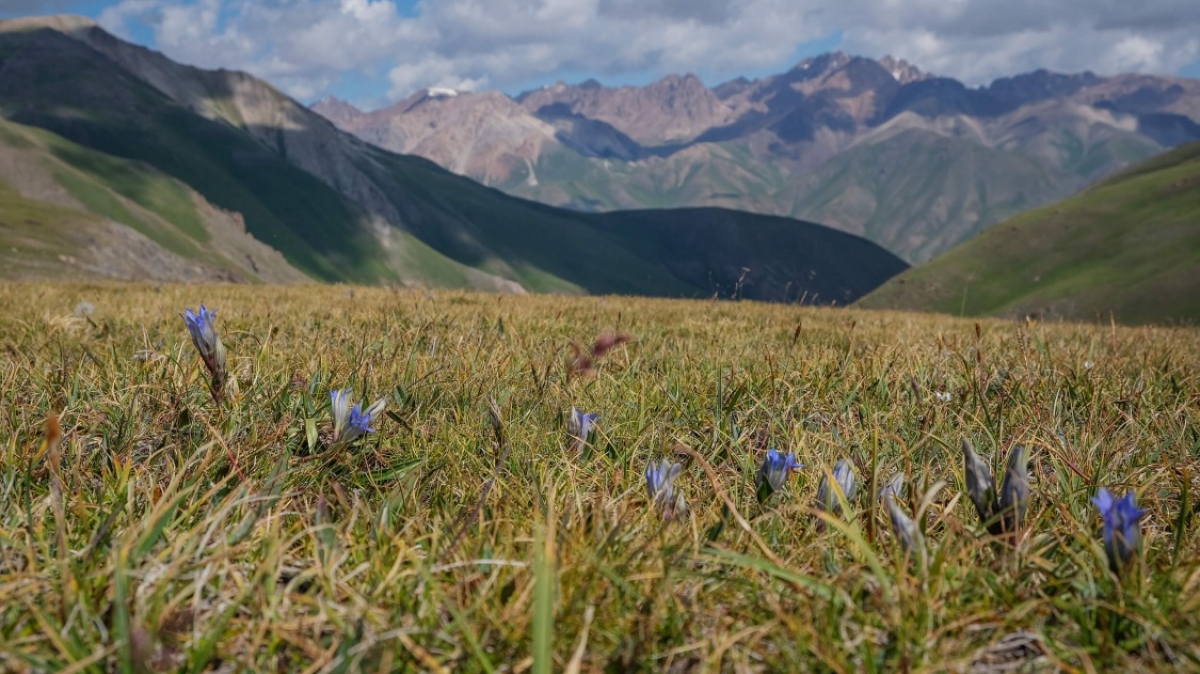 Фото нашей Странницы Марины Шумаковой