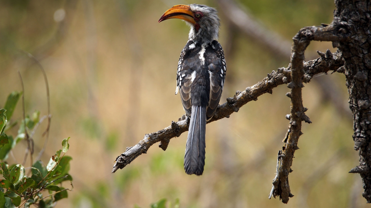 Автор: HerryB, источник: visualhunt