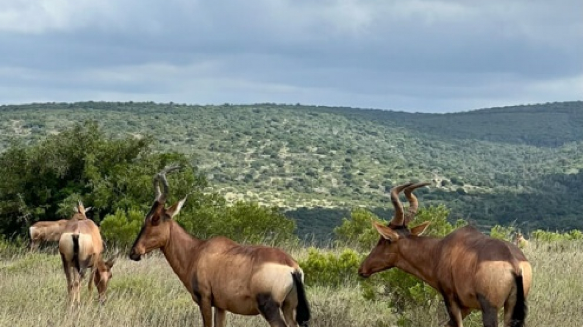 Фото: наш гид Алексей Шорец