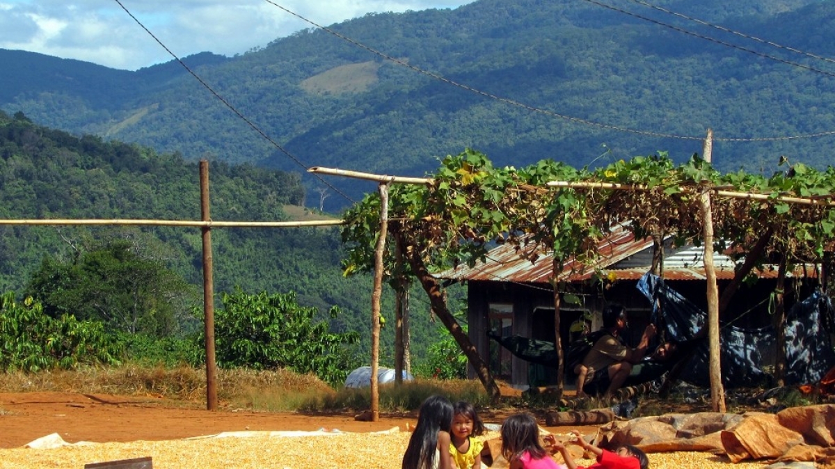 Ферма Да Лат, фото нашего гида Лики Майстровой