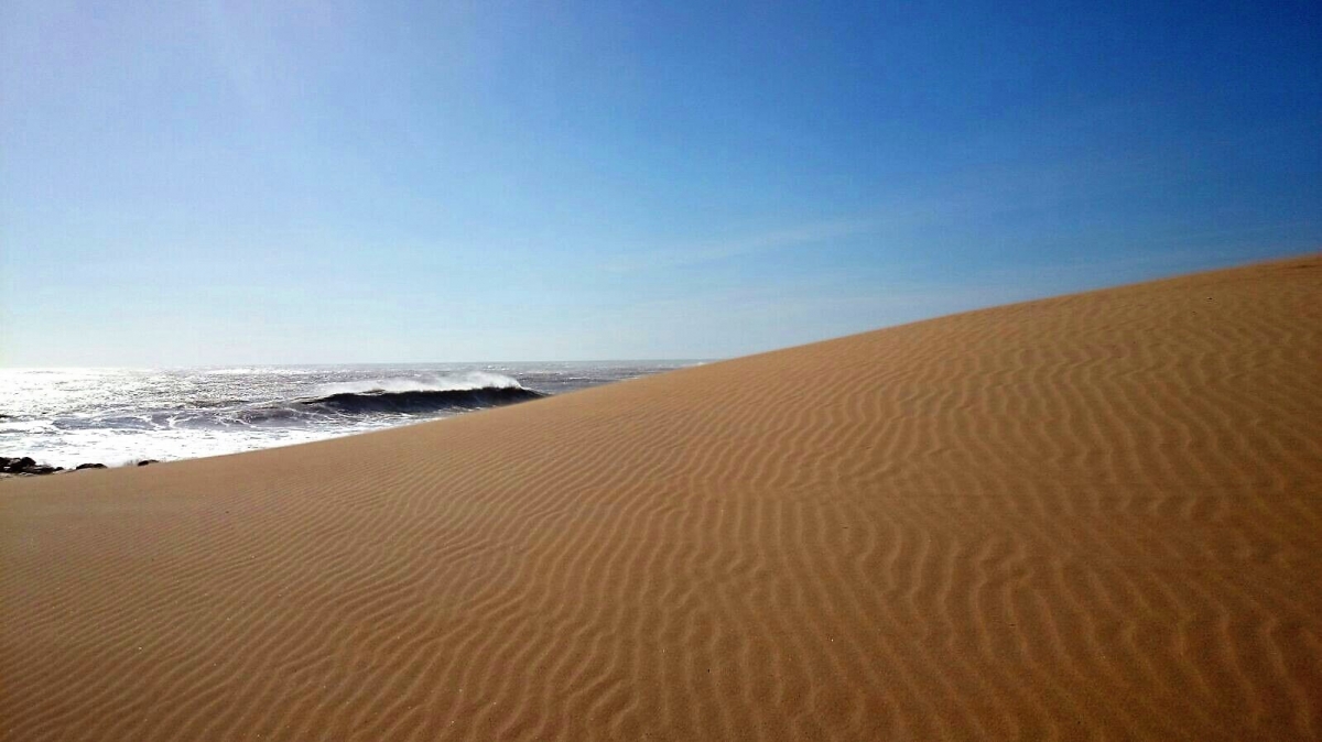 Барханы. Фото нашего гида Натальи Кислушко