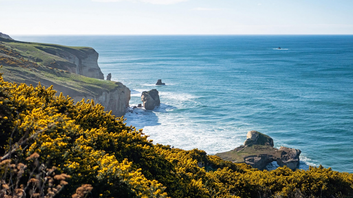 Фото: Tonia Kraakman, unsplash.com