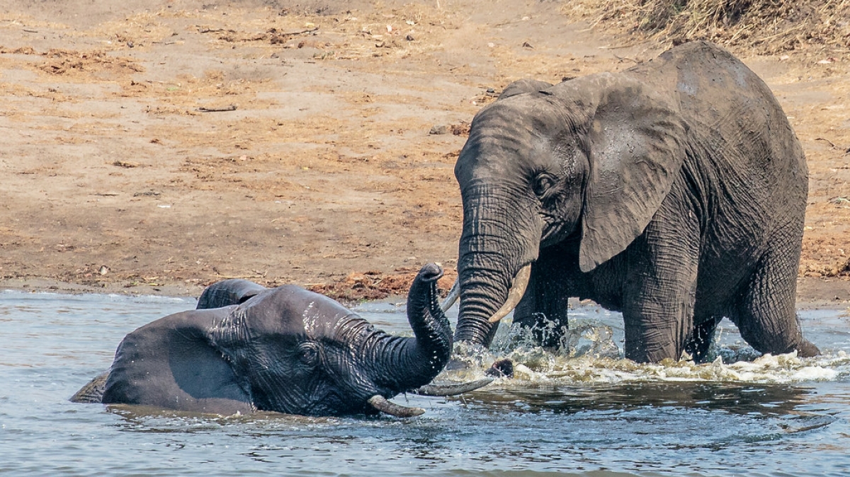 Автор: Andy Morffew, источник: visualhunt