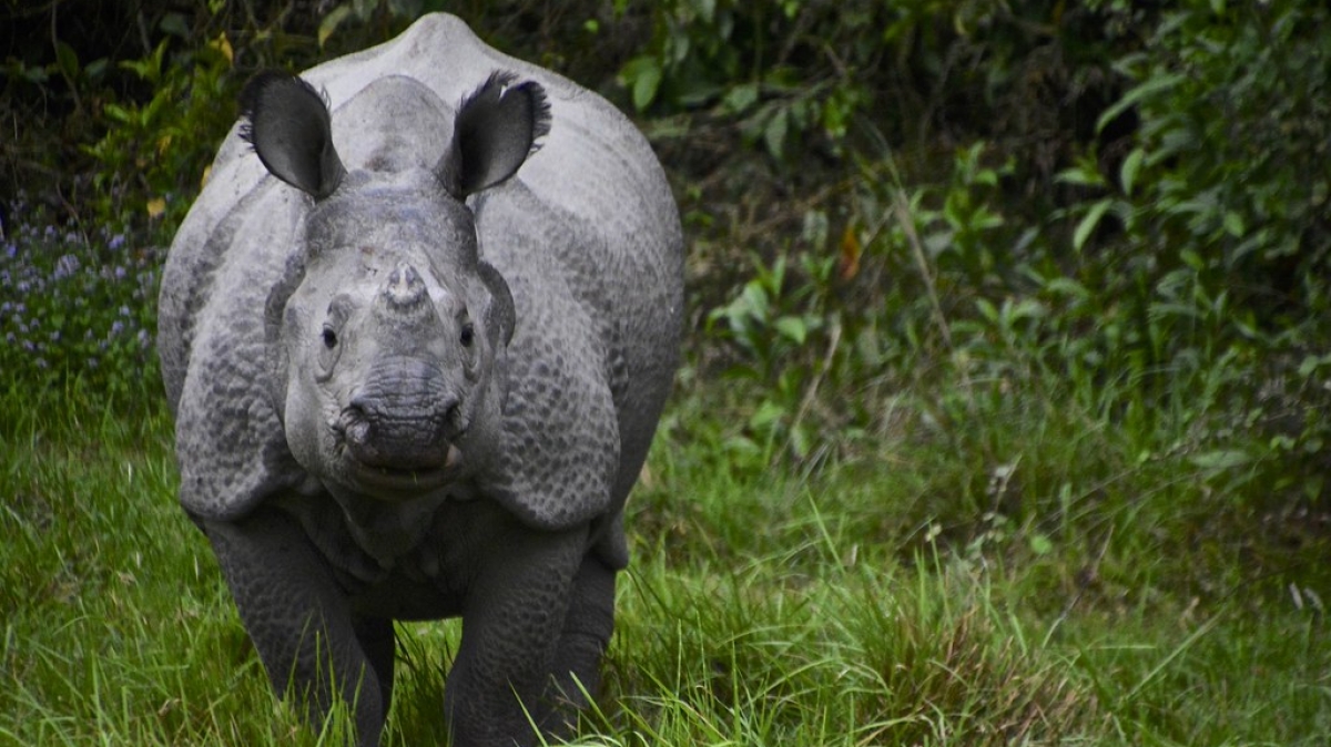 Фото: Antonio Cinotti, VisualHunt.com