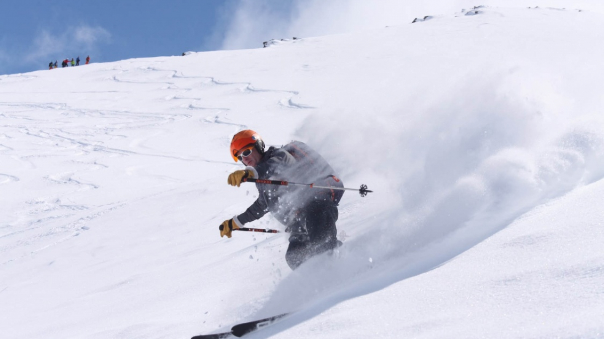 Фото: Christian ter Maat, unsplash.com