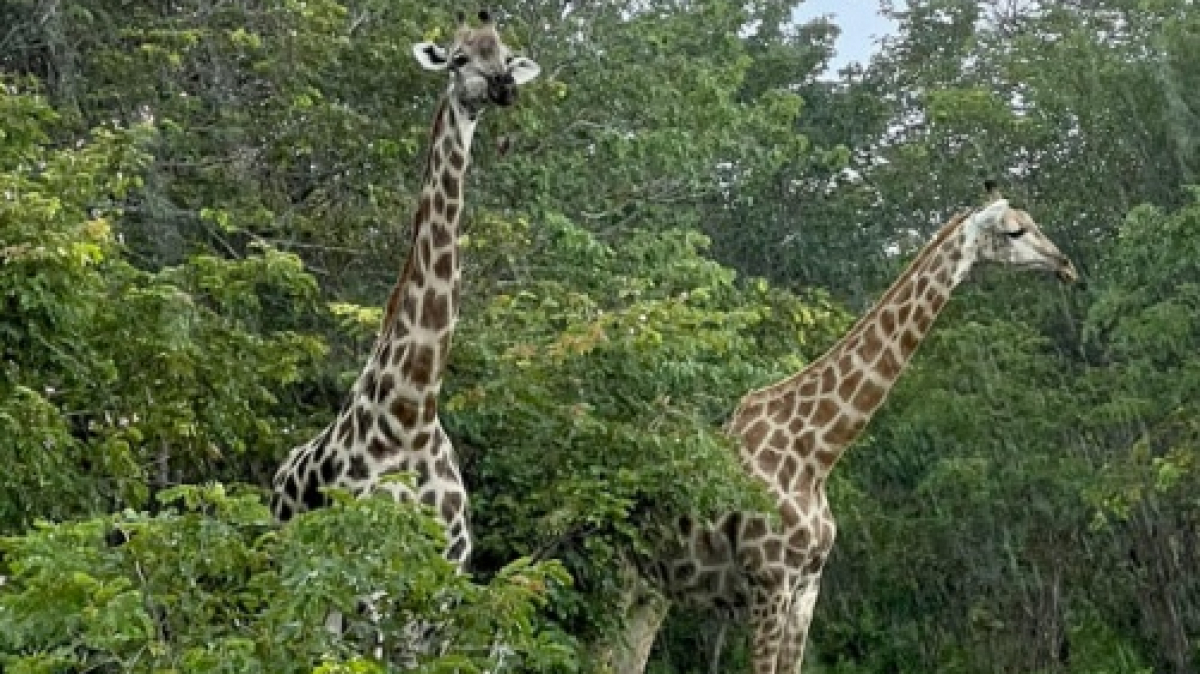 Фото: наш гид Алексей Шорец