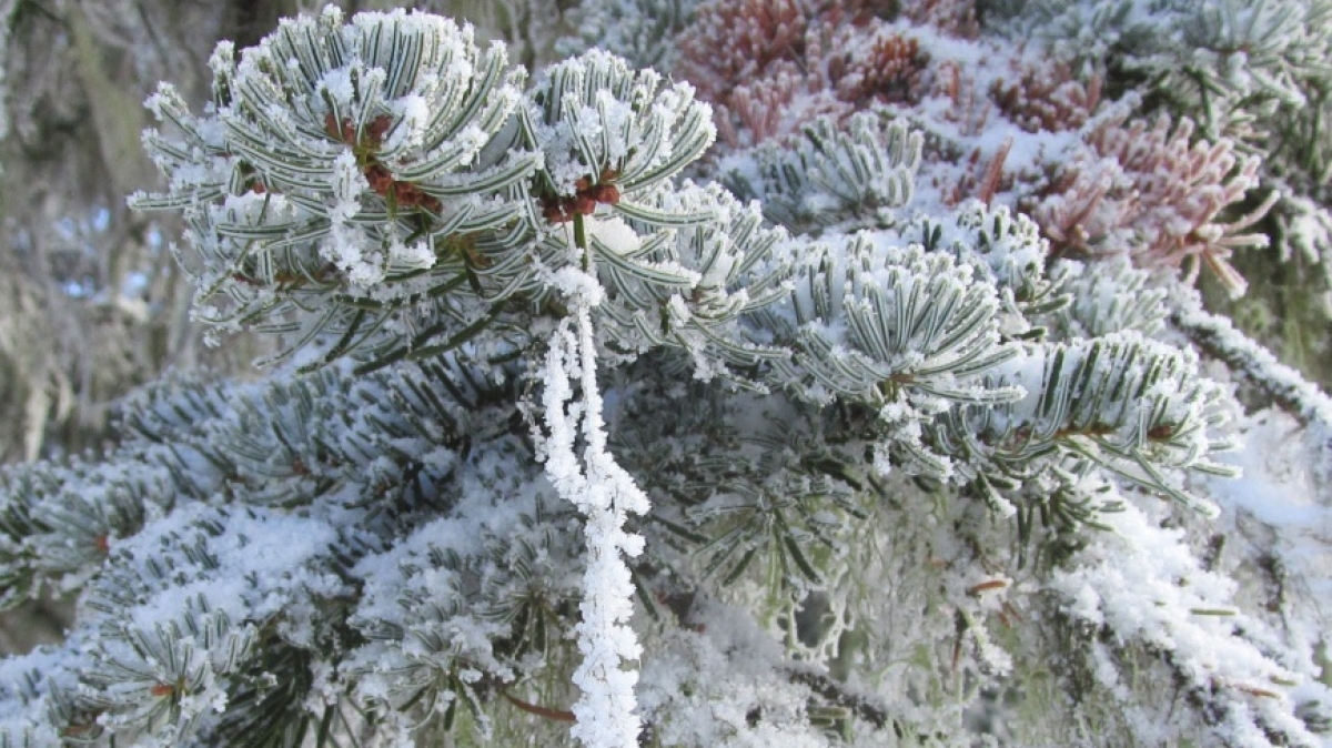 Фото нашего гида Ирины Пряничниковой