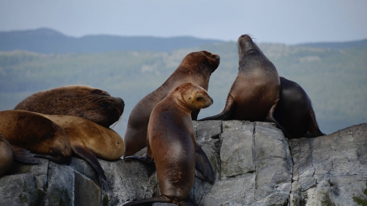 Фото: ELISA KERSCHBAUMER, unsplash.com