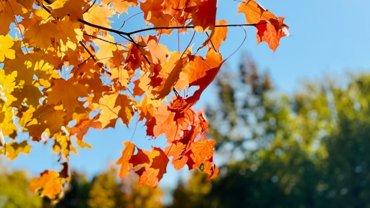 Фото Steve DiMatteo для Unsplash