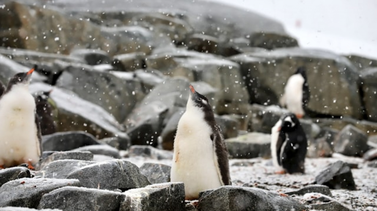 Фото: 66-north on unsplash