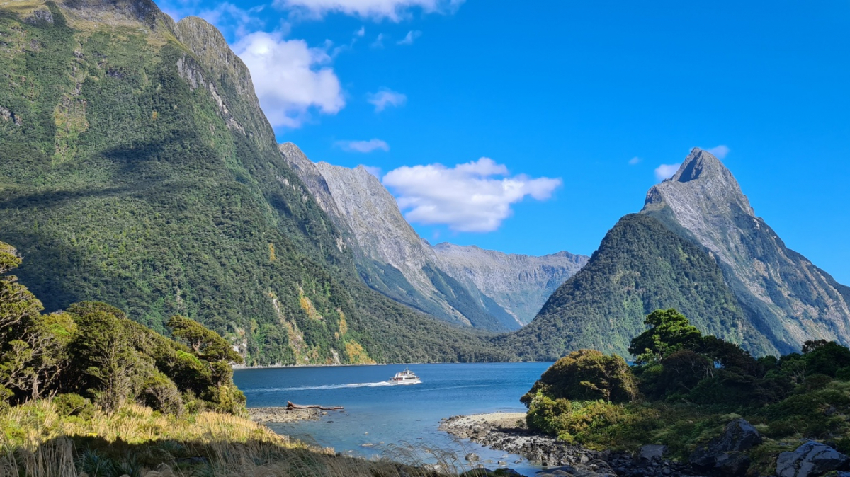 Фото: JustGoThere.NZ