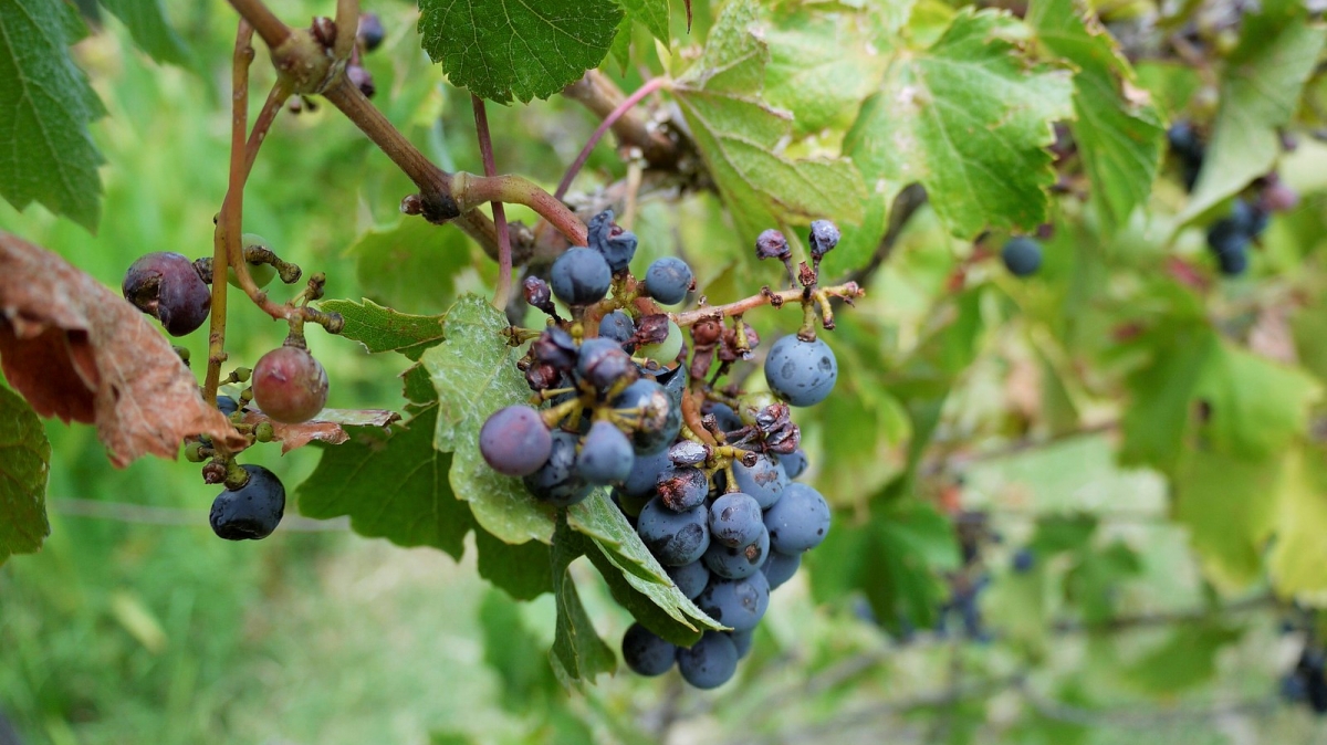 Источник фото: SqueakyMarmot on VisualHunt