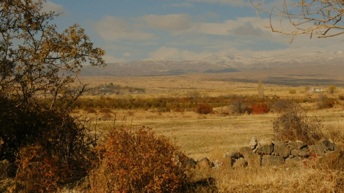 Фото: Yuri Oparin для Unsplash