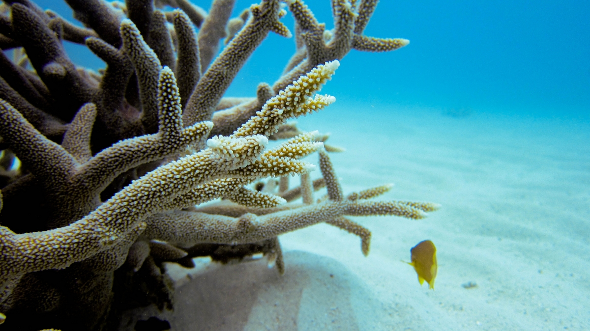 Фото: r.mcminds, visualhunt.com