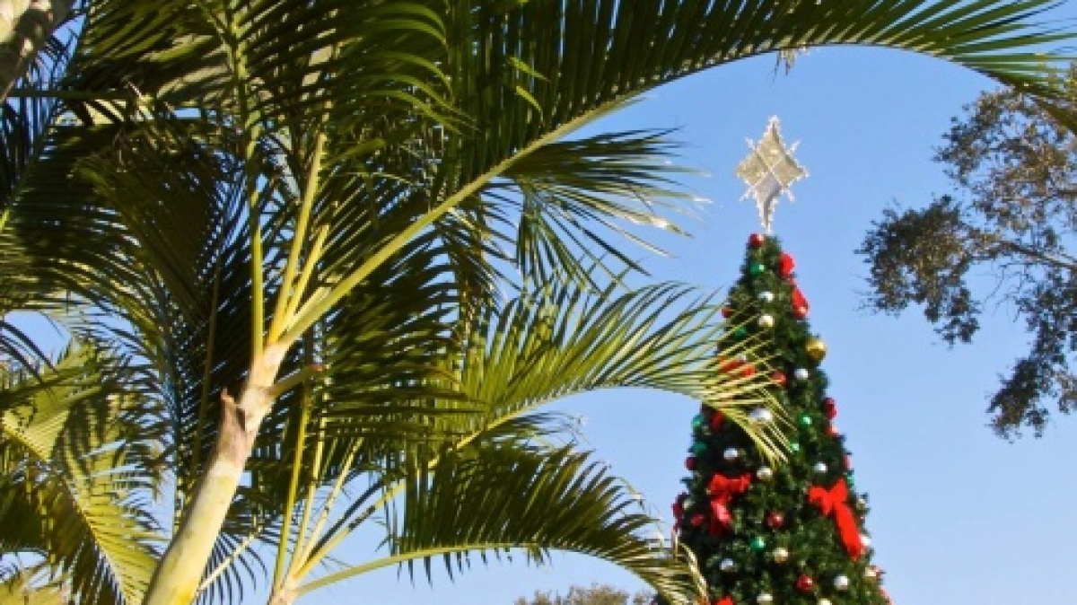 Фото: jcbwalsh, visualhunt.com