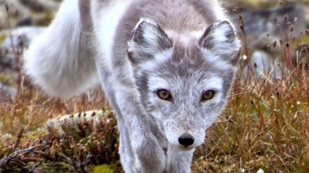 Фото: joxeankoret, visualhunt.com