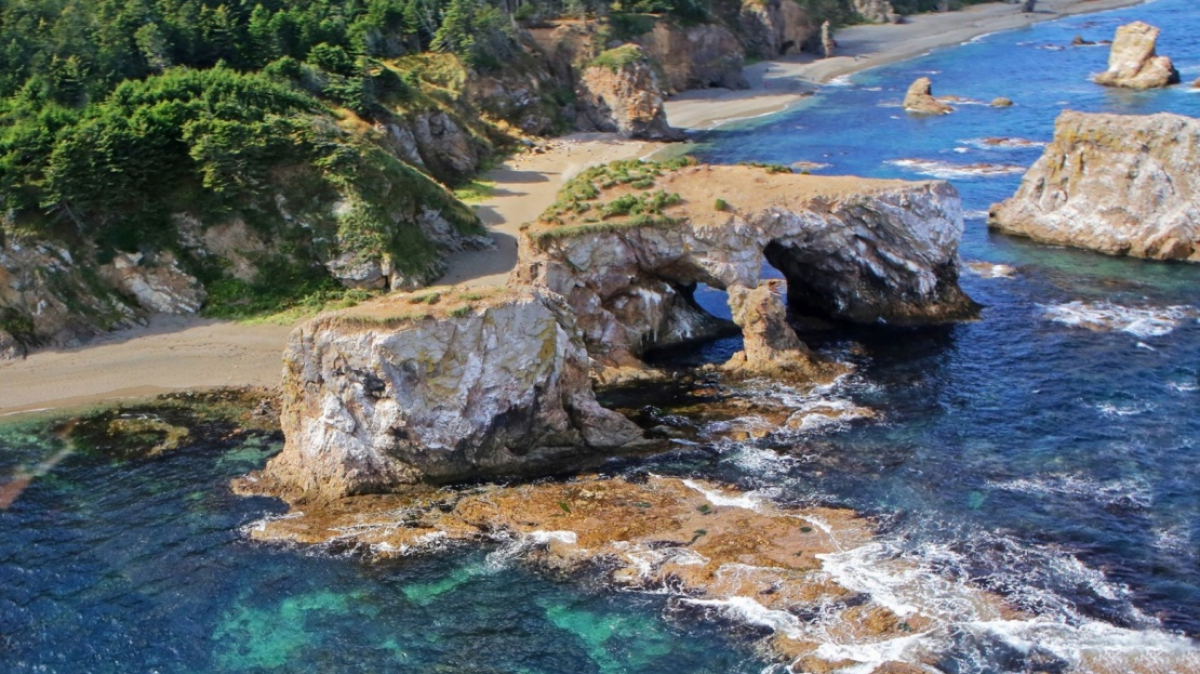 Фото из архива Клуба