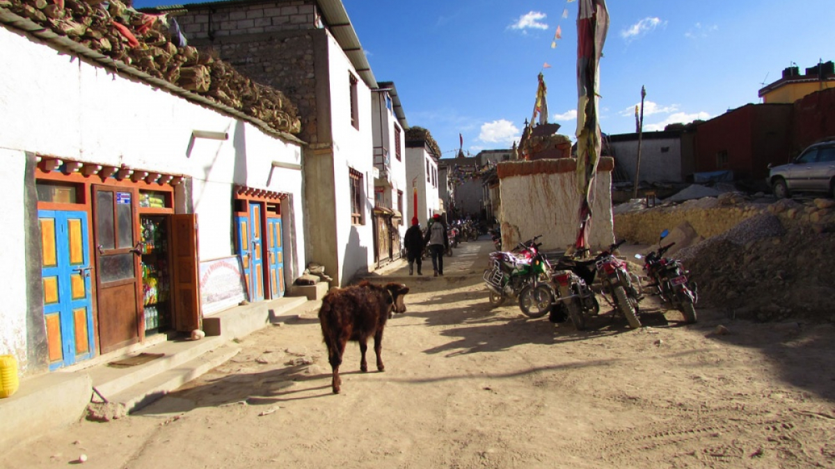 Фото нашего гида Лики Майстровой