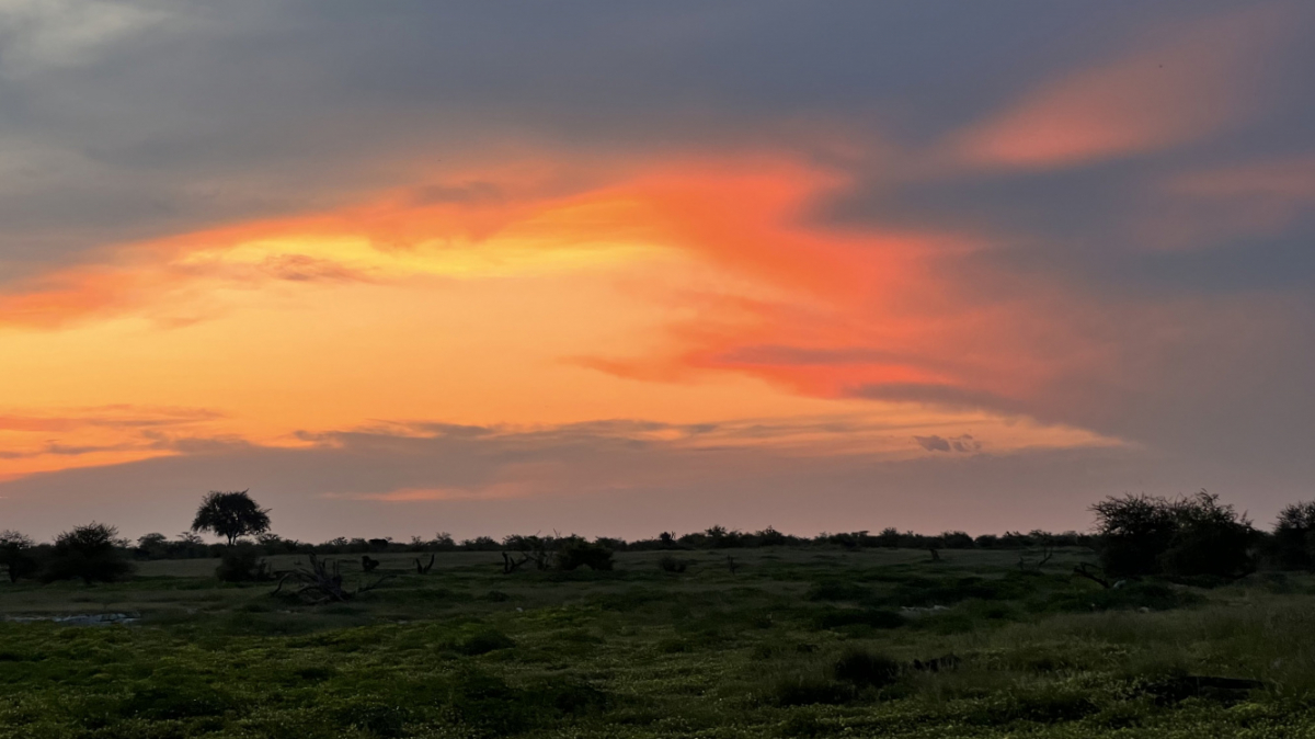Фото: наш гид Алексей Шорец