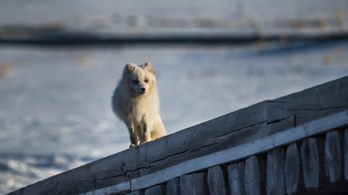 Фото: Сергей Доля