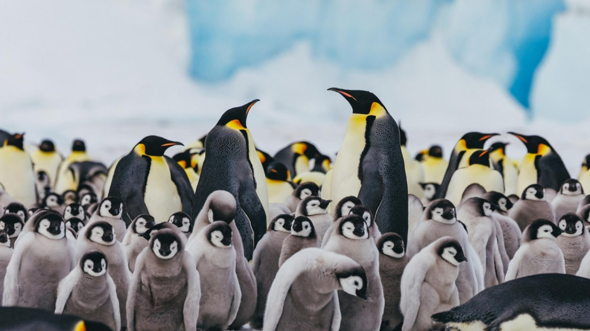 Фото из архива Клуба